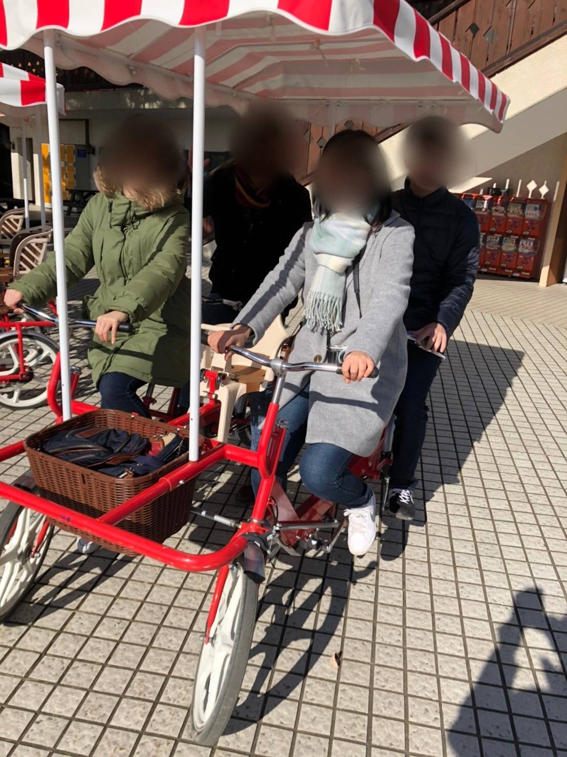 りんどう湖 4人乗り自転車